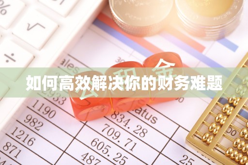 榆树如何高效解决你的财务难题