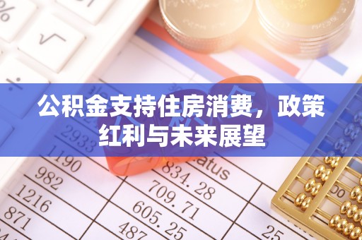 榆树公积金支持住房消费，政策红利与未来展望