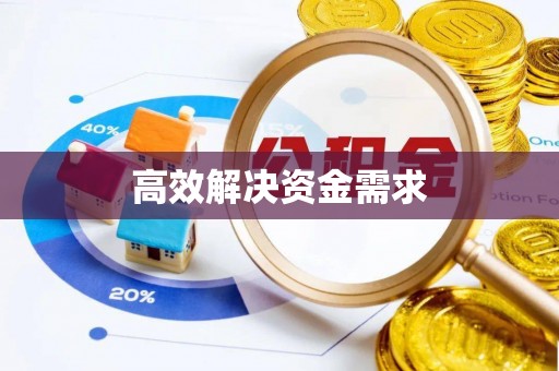榆树高效解决资金需求