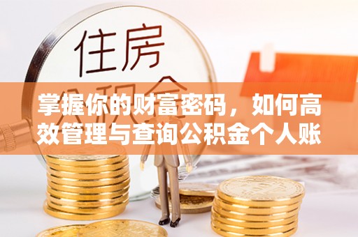 榆树掌握你的财富密码，如何高效管理与查询公积金个人账户信息